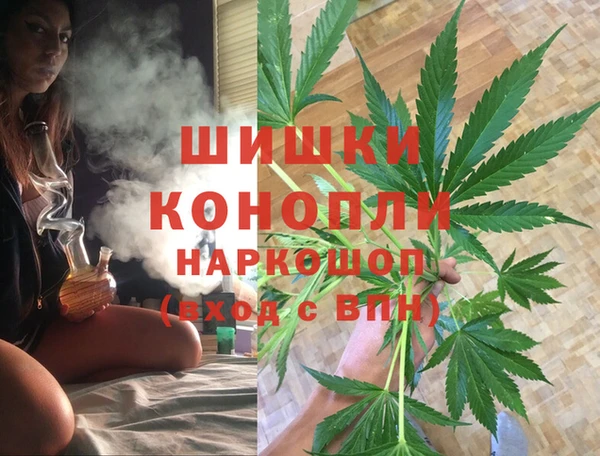 мет Алексин