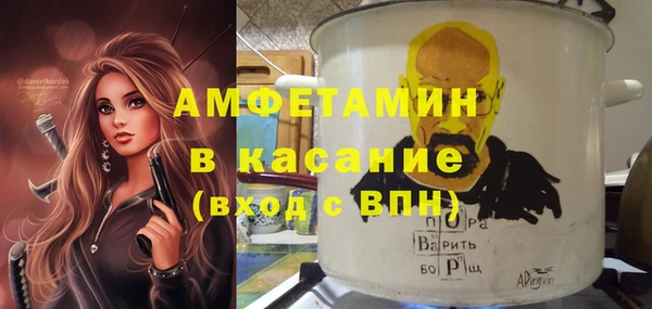 мет Алексин